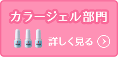 カラージェル部門