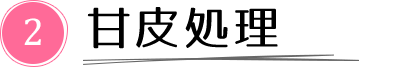2. 甘皮処理